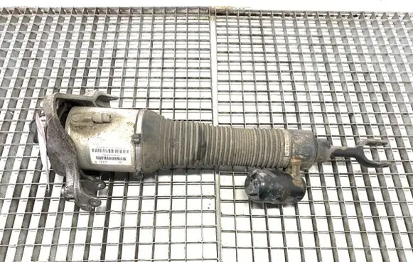 Volkswagen Phaeton Front shock absorber/damper 3D0616040AD