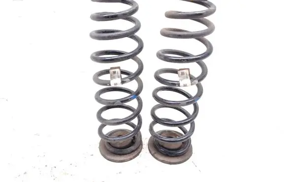 Rear coil spring