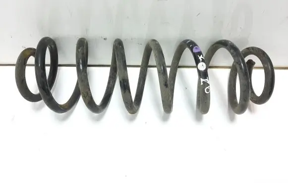 Volkswagen PASSAT B7 Rear coil spring