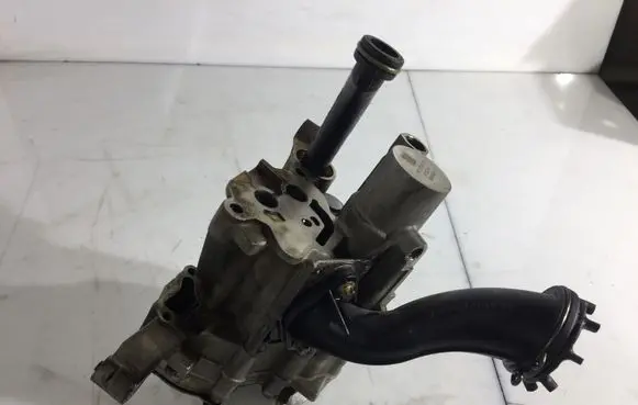Porsche Cayenne (9PA) Oil pump 94810701301