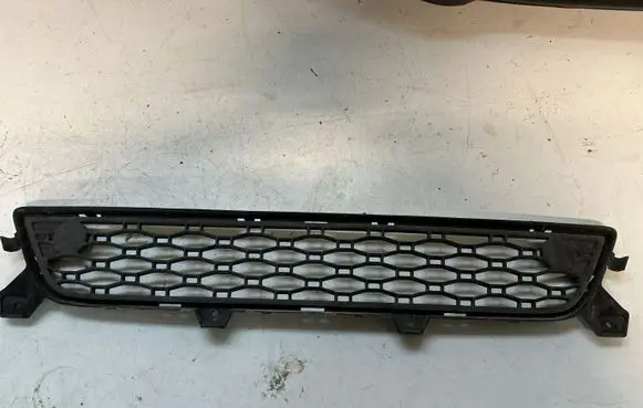 Front bumper lower grill