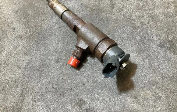 Peugeot Partner III Fuel injector 0445110566