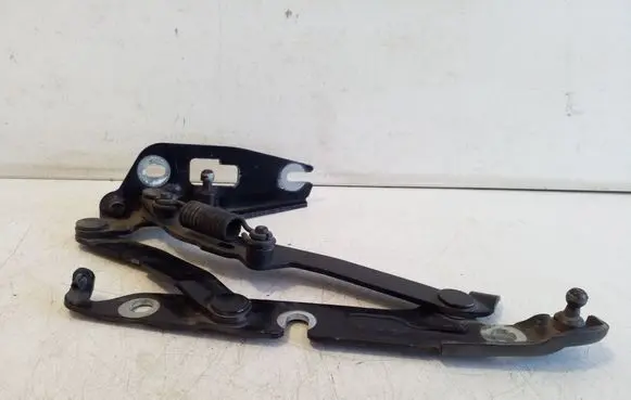 Tailgate/trunk/boot hinge