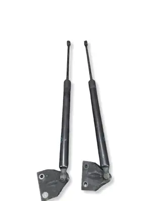 Ford Tourneo Custom Tailgate strut BK21V406A10DB