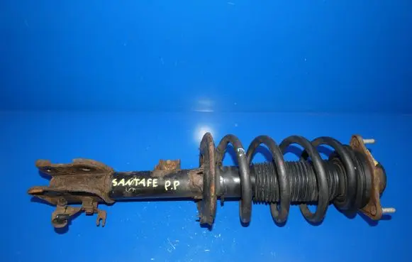 Hyundai Santa Fe Front shock absorber with coil spring