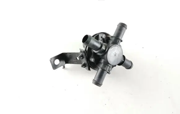 Ford Mustang Mach-E Electric auxiliary coolant/water pump LU5A8C508AE 210603XX XXX069438