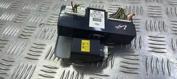 Hyundai ix35 Other control units/modules 919402Y510