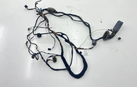 BMW 5 G30 G31 Front door wiring loom 9841275