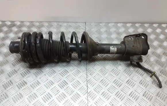 Land Rover Freelander Rear shock absorber with coil spring 