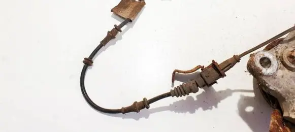 Opel Signum Other wiring loom