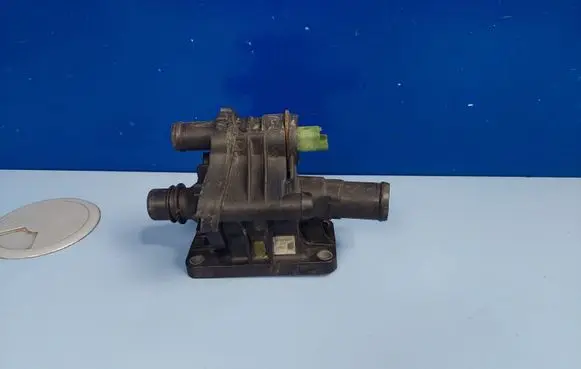 Thermostat/thermostat housing