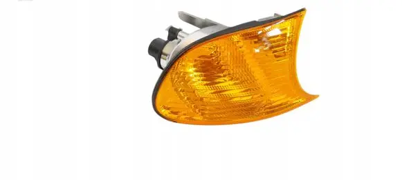 BMW 3 E46 Front indicator light 6904300