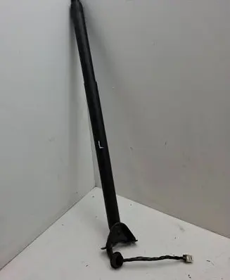 Tailgate strut