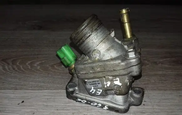 Thermostat/thermostat housing
