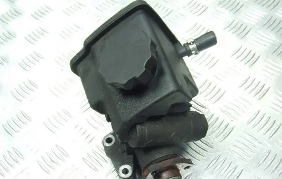 Seat Alhambra (Mk1) Power steering pump 