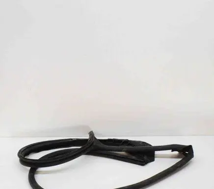 Tesla Model S Rubber seal front coupe door TMSPZ05 TMSPY03