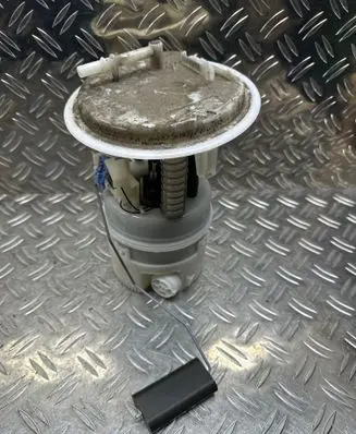 Citroen DS4 In-tank fuel pump