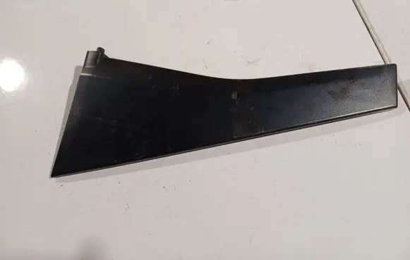 Other rear door trim element