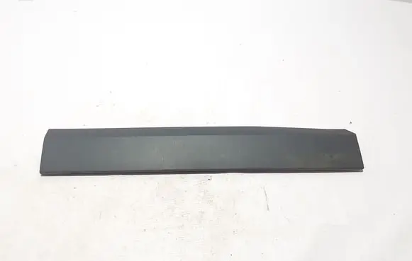 Dacia Duster Rear door trim (molding) 828210041R