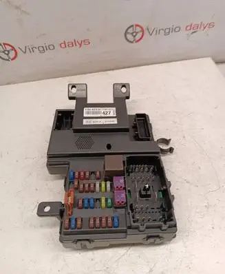 KIA Carnival Fuse module 919544d270