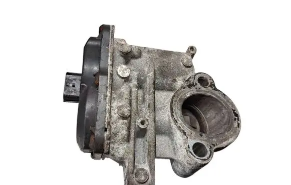 Renault Trafic III (X82) EGR valve h8201068965