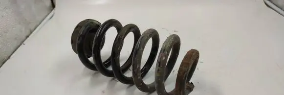 Rear coil spring
