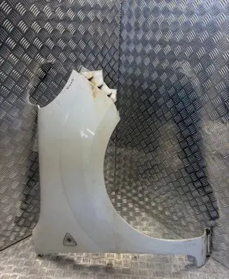 Renault Kangoo II Fender