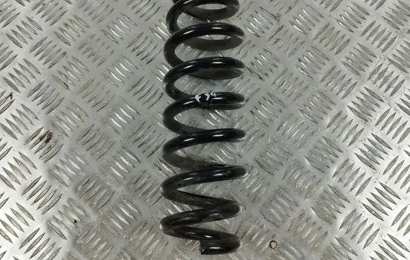 BMW 3 GT F34 Rear coil spring AL05