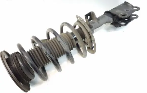 Ford Fusion II Front shock absorber with coil spring DG9C18K001 DG9C5310FNC