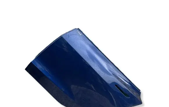 Tesla Model 3 Rear door 