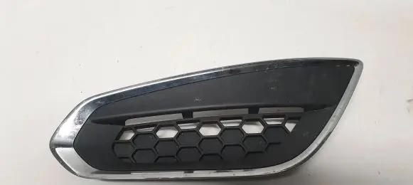 Front fog light trim/grill