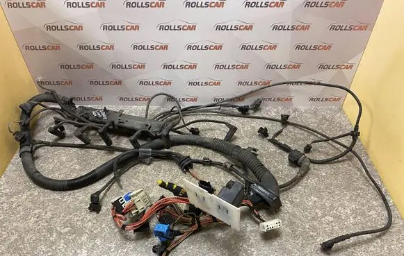 Land Rover Range Rover L322 Engine installation wiring loom
