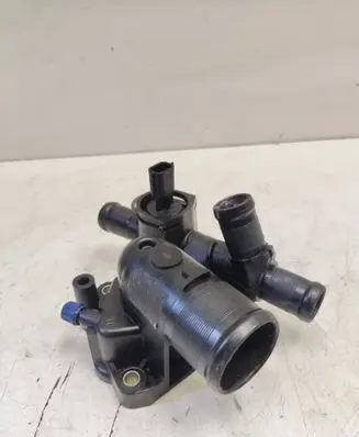 Thermostat/thermostat housing