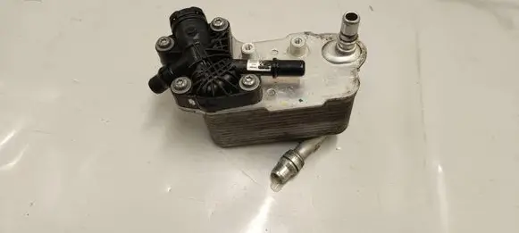 BMW X5 G05 Engine oil radiator 8580419