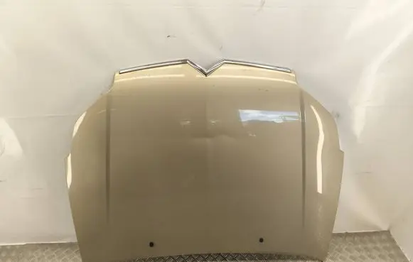 Citroen C5 Engine bonnet/hood