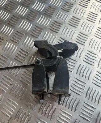Aixam Crossline Loading door hinge set 