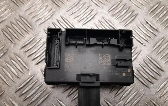 Volkswagen ID.4 Door control unit/module 1EA959596C