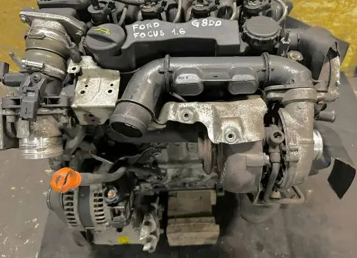 Ford Focus Engine G8DD