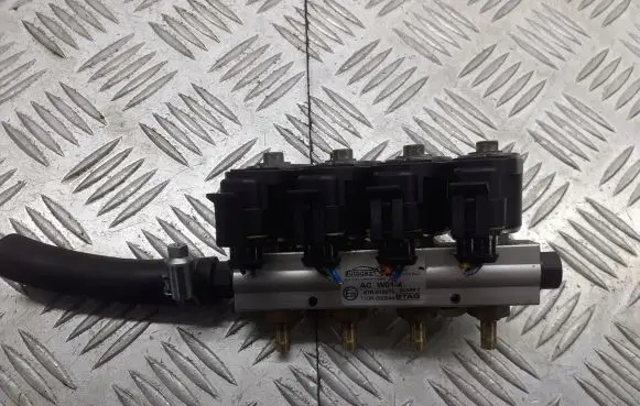 Renault Scenic II - Grand scenic II LP gas injector 67R-010973