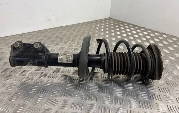 Opel Astra K Front shock absorber with coil spring 39131186 722559783 824903016768