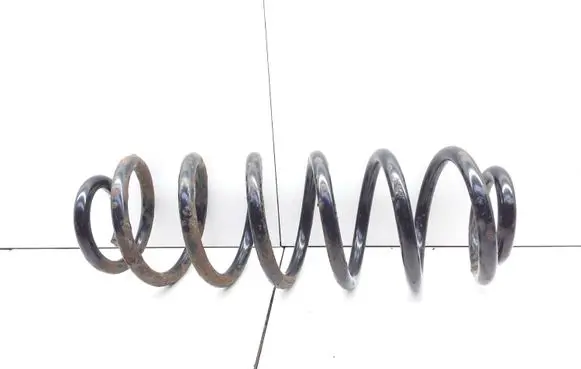 Volkswagen PASSAT B6 Rear coil spring