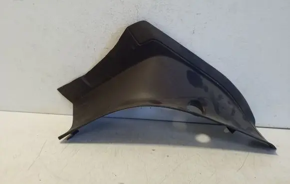 Rear/tail light trim molding