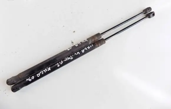 Ford Kuga I Tailgate strut 