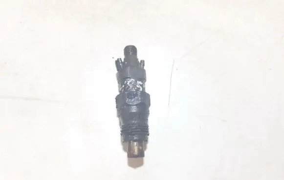Peugeot 406 Fuel injector kca17s42