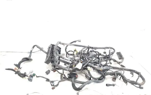 Other wiring loom
