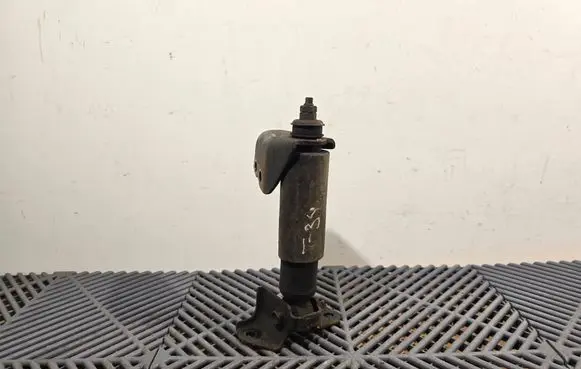 Lexus RX 330 - 350 - 400H Rear shock absorber/damper