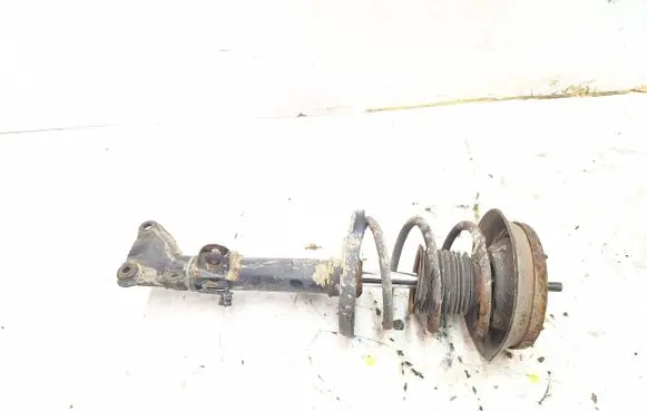 Front shock absorber with coil spring