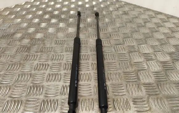 Tailgate/trunk strut/damper