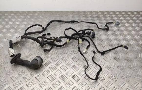 Citroen C5 Front door wiring loom 9684767180