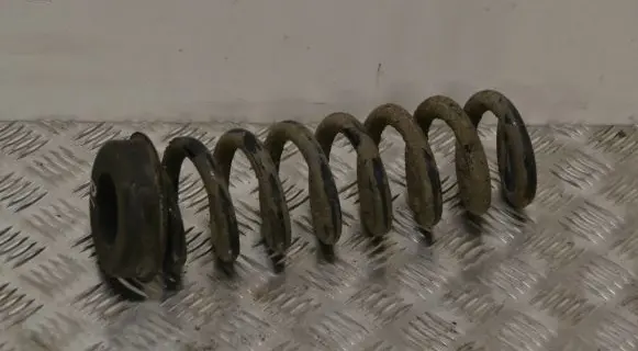 BMW 3 GT F34 Rear coil spring 6764419